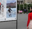 Во Владивостоке открылись фотовыставки, посвященные конкурсу "Дальний Восток - Земля приключений"