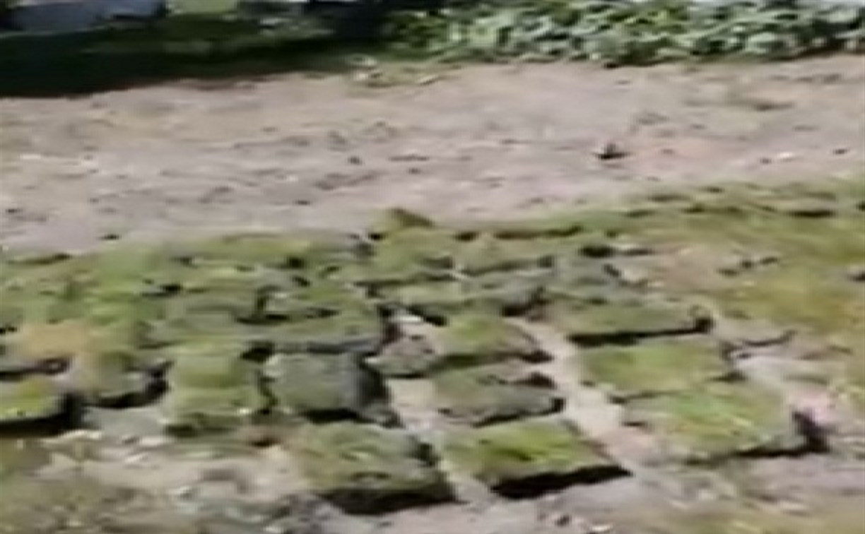"Натуральная порнография": в селе Холмского района на цемент укладывают куски травы со стадиона