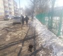 Асфальт обвалился на тротуаре возле школы №5 Южно-Сахалинска