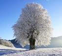 Мороз до -18 градусов придёт в несколько районов Сахалина: прогноз погоды на 14 ноября