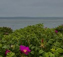 На Сахалине дожди и до +16 °C, а на Курилах переменная облачность: прогноз погоды для региона на 13 октября