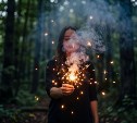 С 1 сентября 2026 года в российских лесах запретят использовать пиротехнику