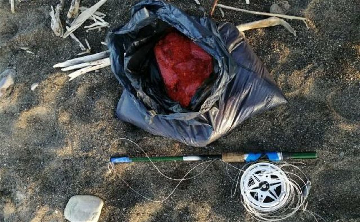 Рыбак-"кошатник" напорол 8,3 кг икры на устье реки в Макаровском районе