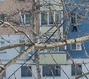 Девушка выпала из окна третьего этажа в Южно-Сахалинске