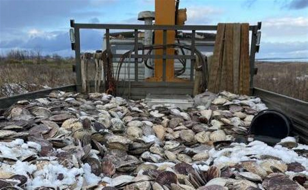 В России хотят запретить уничтожать конфискованные морепродукты