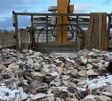 В России хотят запретить уничтожать конфискованные морепродукты