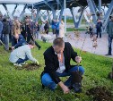 Вишнёвый сад обустроили у аэровокзала имени Чехова в Южно-Сахалинске