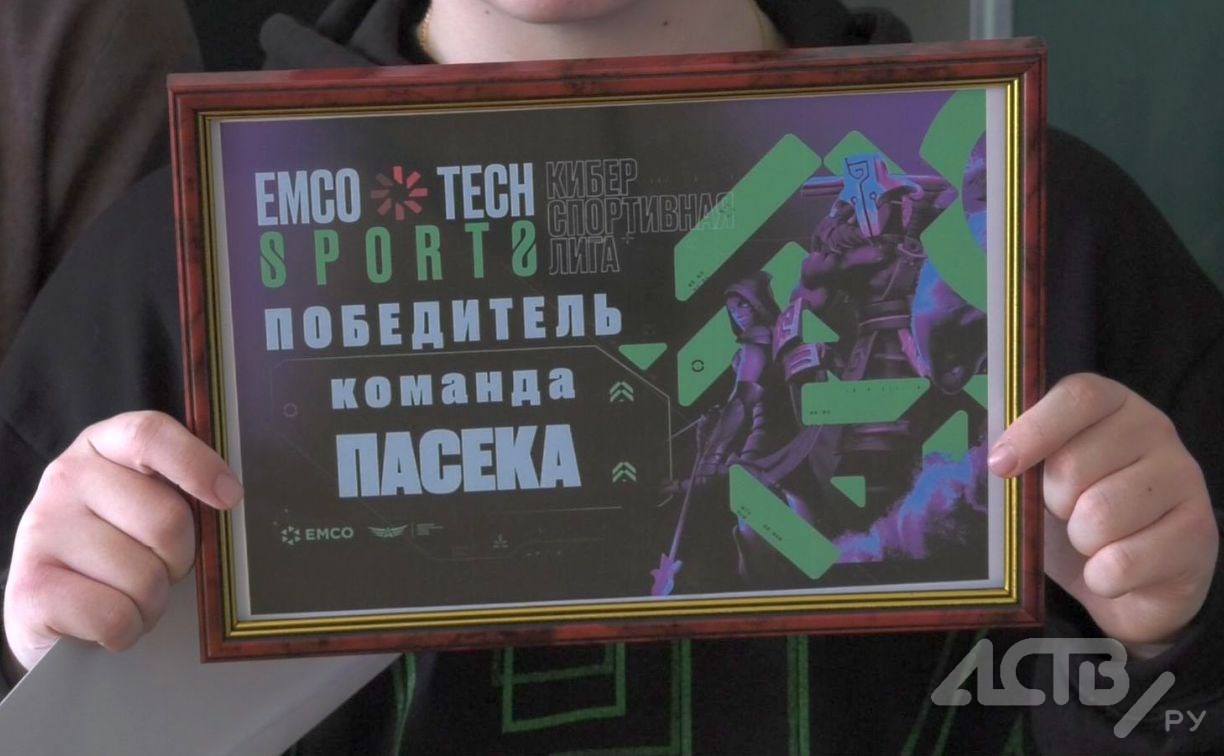 На Сахалине наградили победителей первого областного киберспортивного турнира