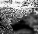 Пьяный бомж разбил стекло и вломился в чужой дом в Южно-Сахалинске