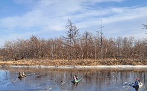 Происшествия