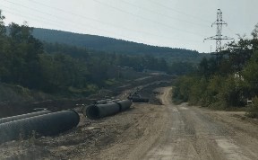 Общество
