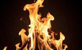 Происшествия