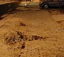 Очевидцы: провал образовался на тротуаре в районе перекрёстка в Южно-Сахалинске