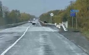 Общество
