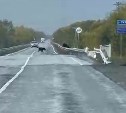 Автомобилисты наблюдали "парад" медведей в Долинском районе