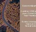 Улицу Горный Воздух в Южно-Сахалинске перекроют 3 ноября 