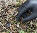 Сахалинку арестовали в Приморье за оборудование закладок с наркотиками 