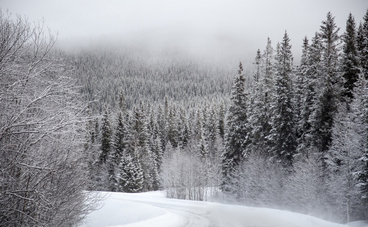 Ограничения для движения автобусов в Томаринском районе отменили 