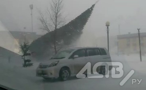 Новогодняя ёлка рухнула в метель на площади в сахалинском селе