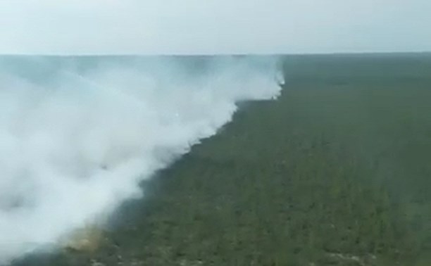 Лесной пожар на севере Сахалина уничтожил уже 757 гектаров