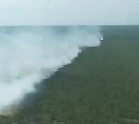 Лесной пожар на севере Сахалина уничтожил уже 757 гектаров