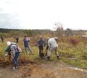 Более 21 гектара очищены от мусора на Сахалине
