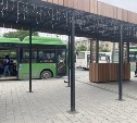 В автобусе Южно-Сахалинск - пляж Анивы ребёнку-инвалиду не уступили место