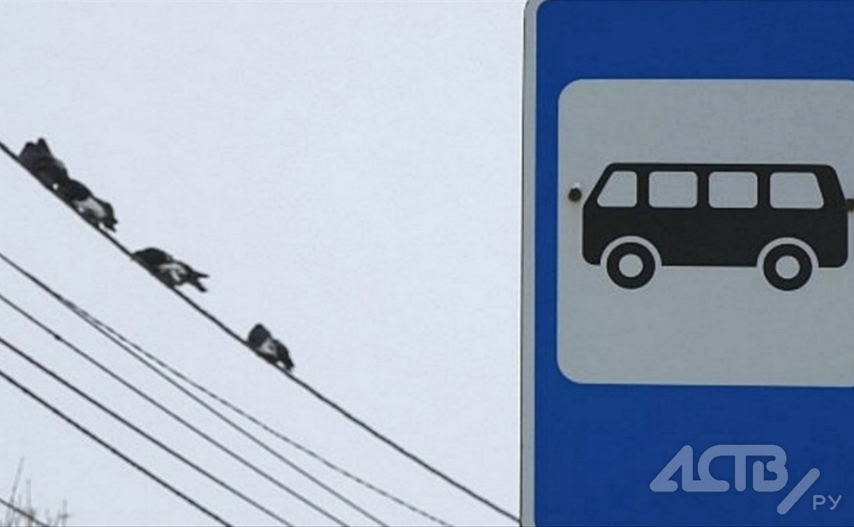 Для сахалинцев старше 70 лет изменился порядок проезда на общественном транспорте