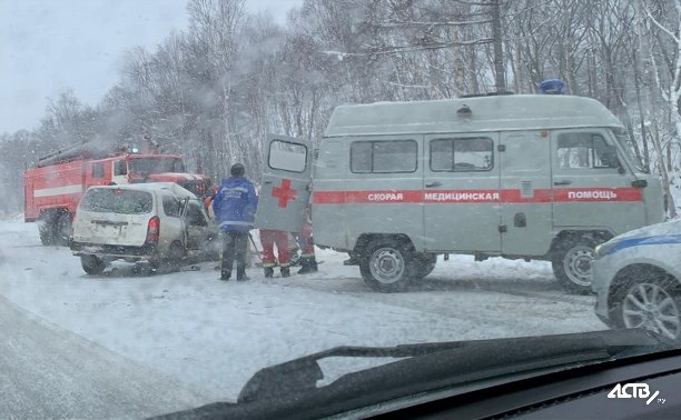 Неудачный обгон обернулся смертельным ДТП на Сахалине