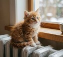 Отопительный сезон стартовал в Охе: школы, больницы и детсады полностью подключены к теплу