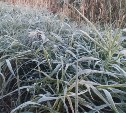Первые заморозки ударили по югу Сахалина