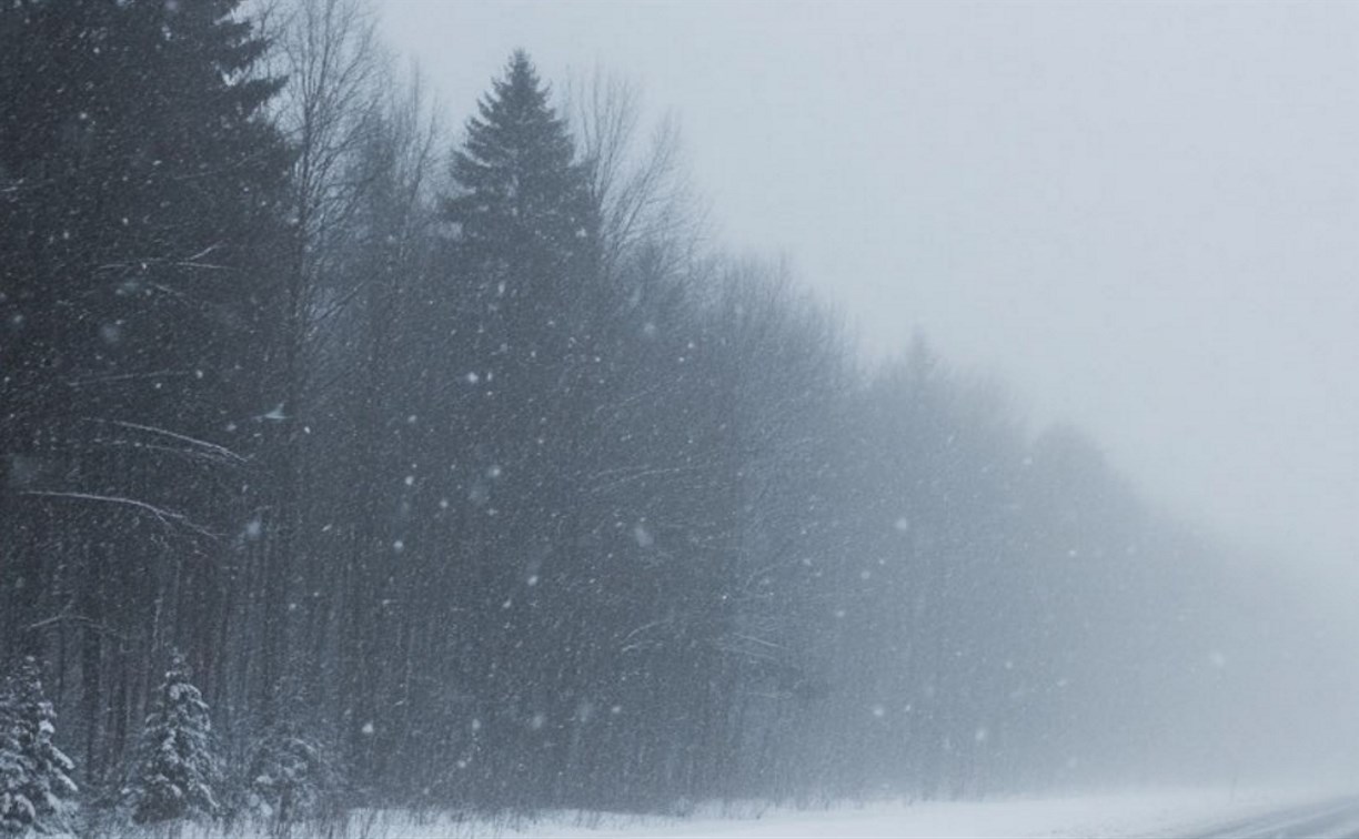 Жителей Южно-Сахалинска предупредили о возможном сходе лавин