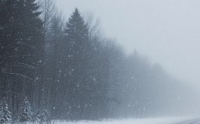 Происшествия