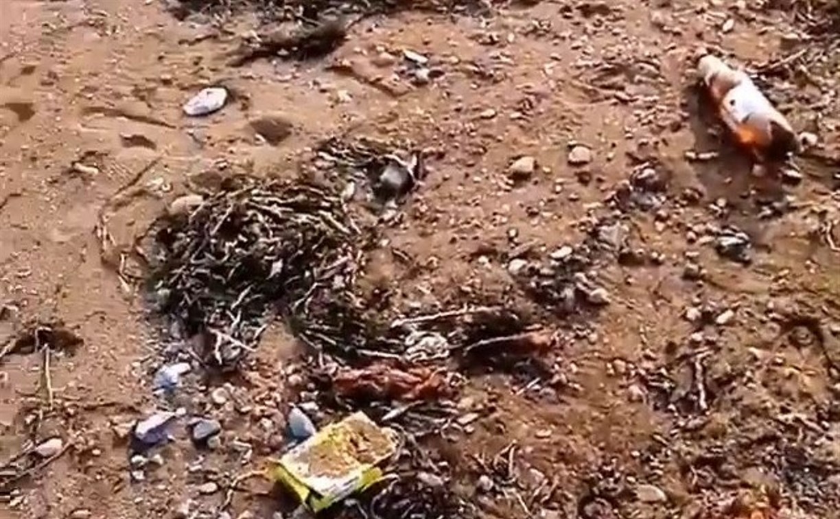 "Свиньи Сахалина": отдыхающие в Пригородном оставили после себя кучи мусора