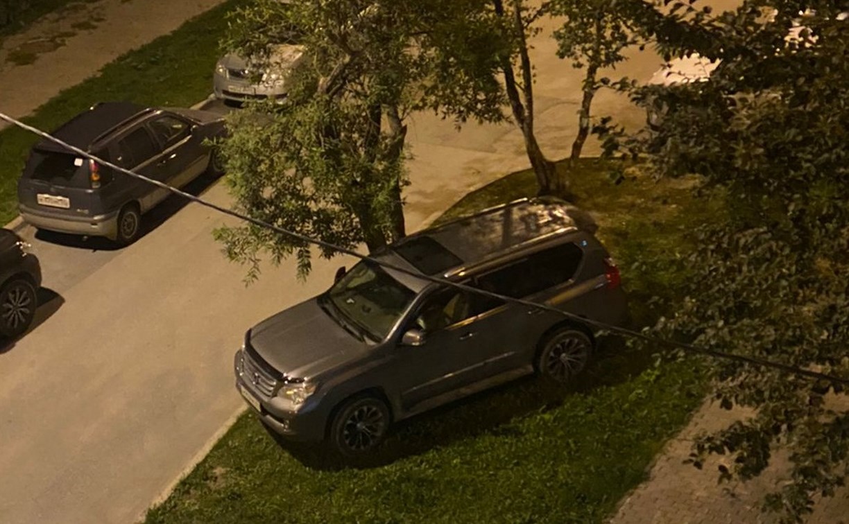 Владелец "Лексуса" во дворе Южно-Сахалинска выделил себе место для парковки на газоне 