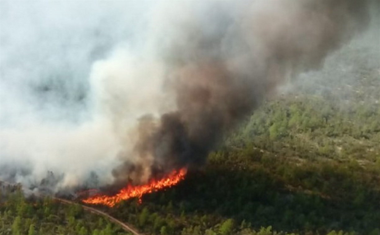 В Охе лесной пожар сожрал уже 27 га, в Смирных вспыхнула старая гарь