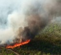 В Охе лесной пожар сожрал уже 27 га, в Смирных вспыхнула старая гарь