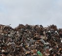 "Дорожная карта" по раздельному сбору мусора появится на Сахалине