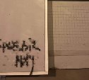 Неизвестные вновь рисуют на зданиях в Южно-Сахалинске рекламу запрещённых сайтов