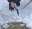 Южносахалинцы с потекшими в квартирах потолками не дождались помощи и взяли в руки топоры 