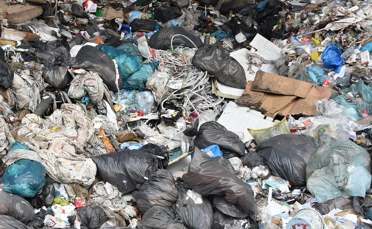 Коммунальщики перестали складировать мусор в лесу у Синегорска