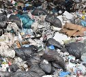 Коммунальщики перестали складировать мусор в лесу у Синегорска
