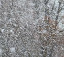 Метель вновь бушует на севере Сахалина - участок трассы закрыли