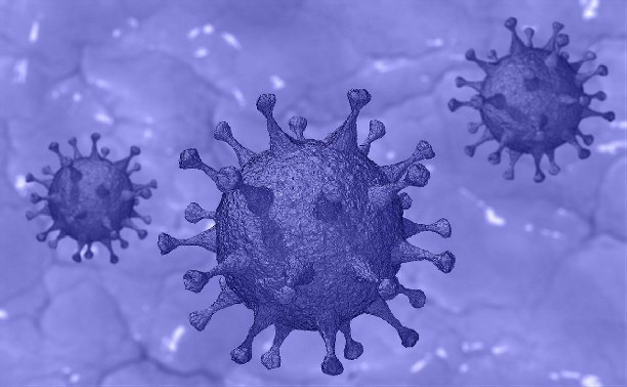 Еще 119 человек заразились коронавирусом на Сахалине и Курилах