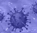 Еще 119 человек заразились коронавирусом на Сахалине и Курилах