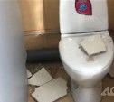 СахГУ: студентки колледжа оторвали туалетную кабинку от стены вместе с кафелем