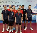Сахалинцы взяли серебро и бронзу первенства ДФО по настольному теннису