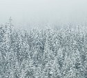 На Северные Курилы надвигается циклон