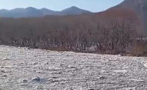 Общество