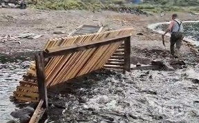 Общество